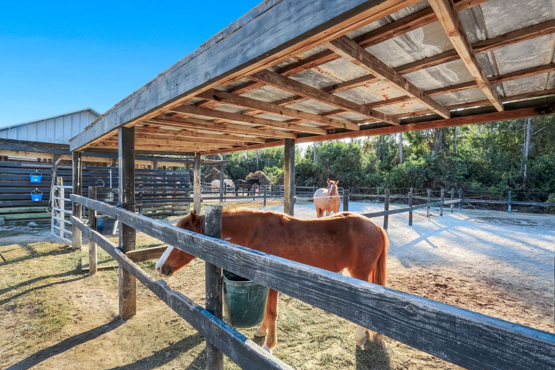 13731 E Terry St, Bonita Springs, FL 34135