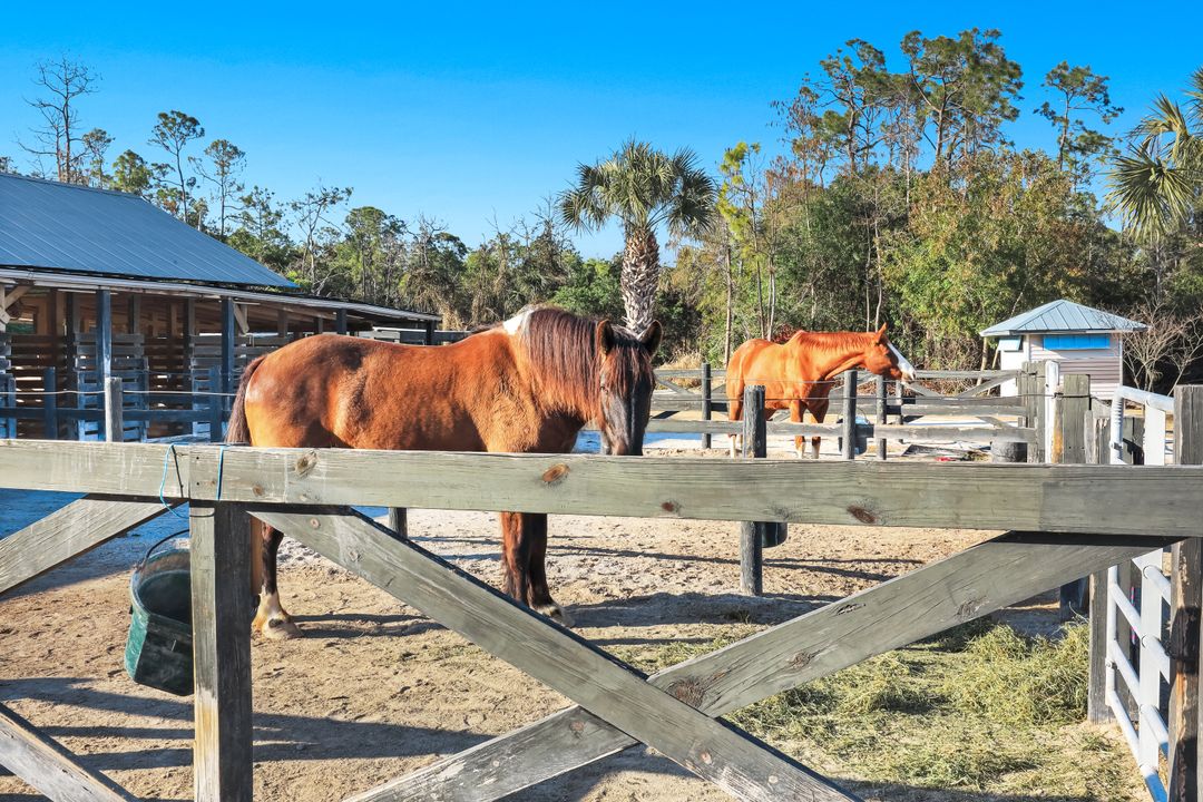 13731 E Terry St, Bonita Springs, FL 34135