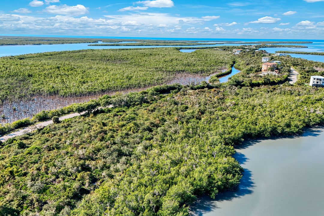 1011 Blue Hill Creek Dr, Marco Island, FL 34145