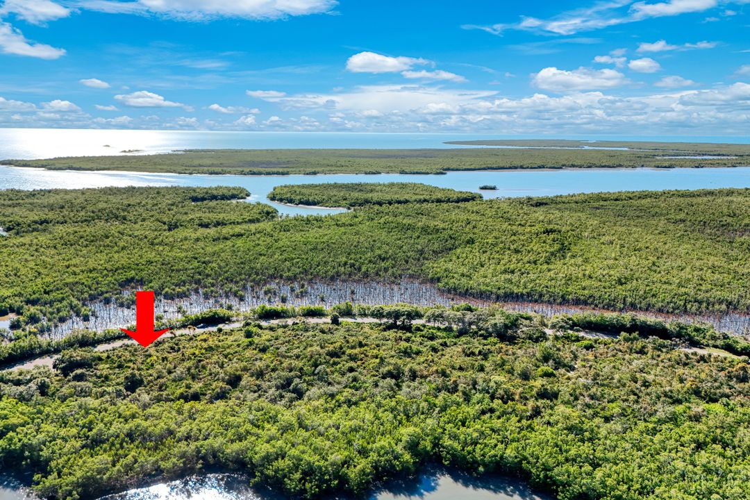 1011 Blue Hill Creek Dr, Marco Island, FL 34145