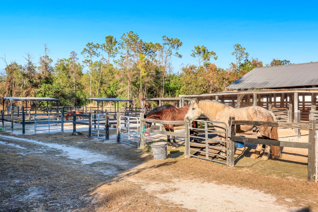 13731 E Terry St, Bonita Springs, FL 34135