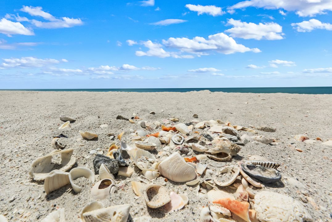 25840 Hickory Blvd #b301, Bonita Springs, FL 34134