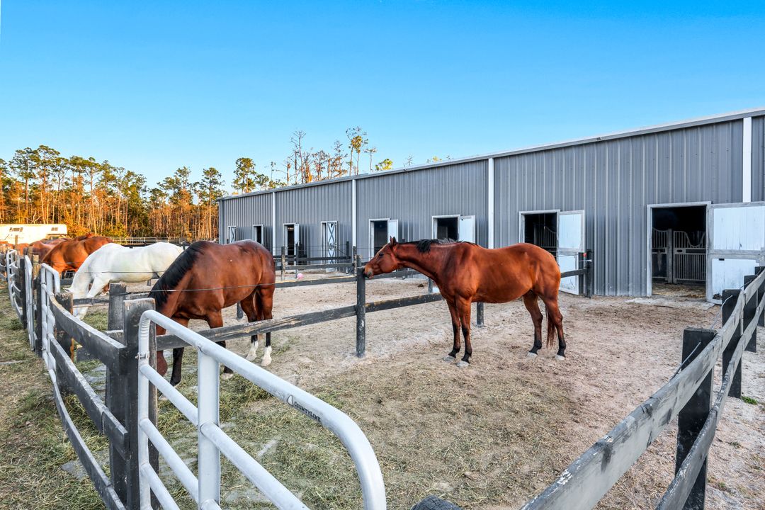 13731 E Terry St, Bonita Springs, FL 34135