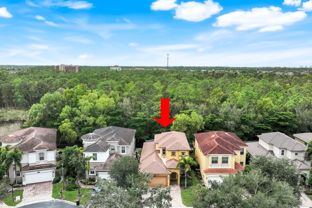 10253 S Silver Palm Dr, Estero, FL 33928