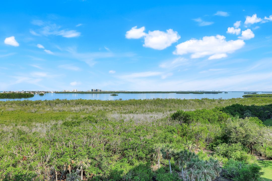 4801 Island Pond Ct #602, Bonita Springs, FL 34134