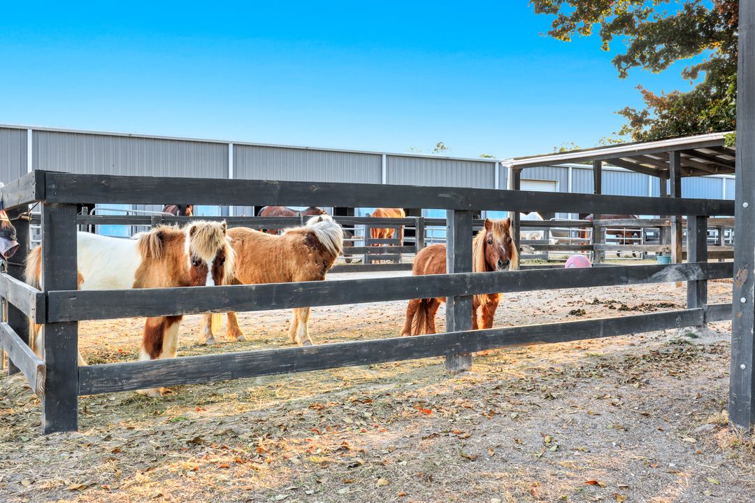 13731 E Terry St, Bonita Springs, FL 34135