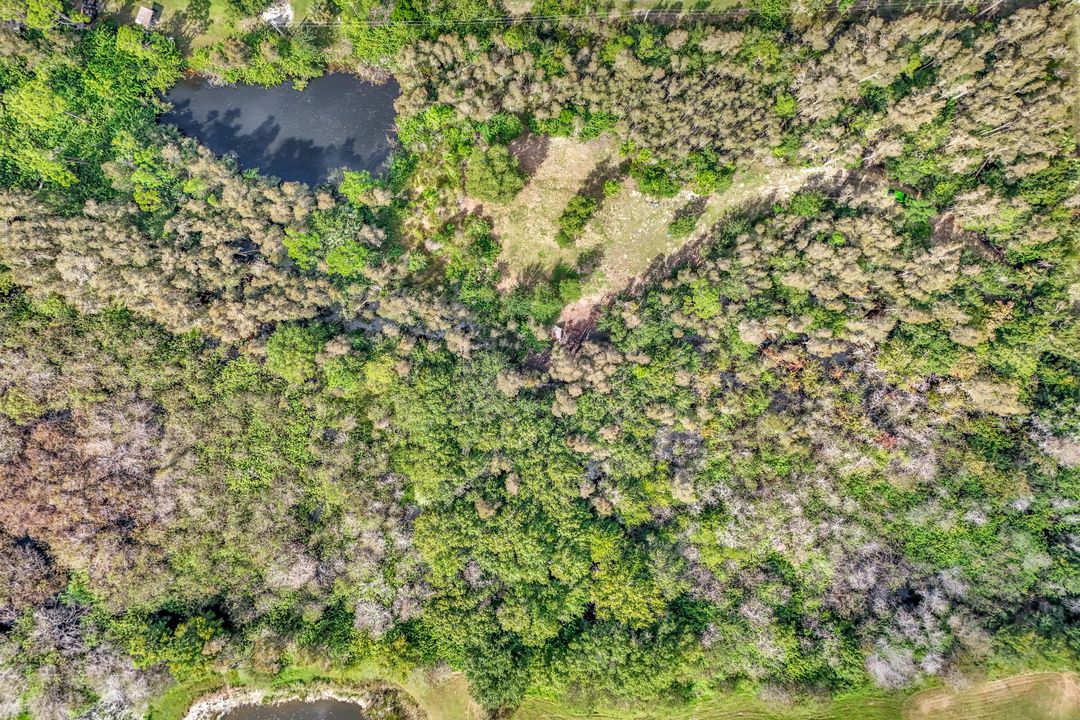 41601 Little Farm Rd, Punta Gorda, FL 33982