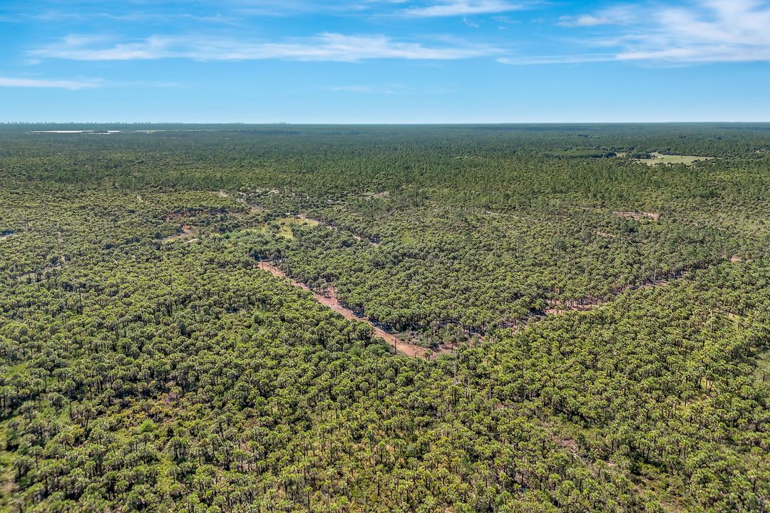 Woodland Grade Private Rd, Naples, FL 34117