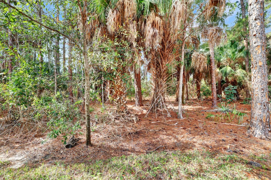 8206 Sanctuary Dr #1, Naples, FL 34104