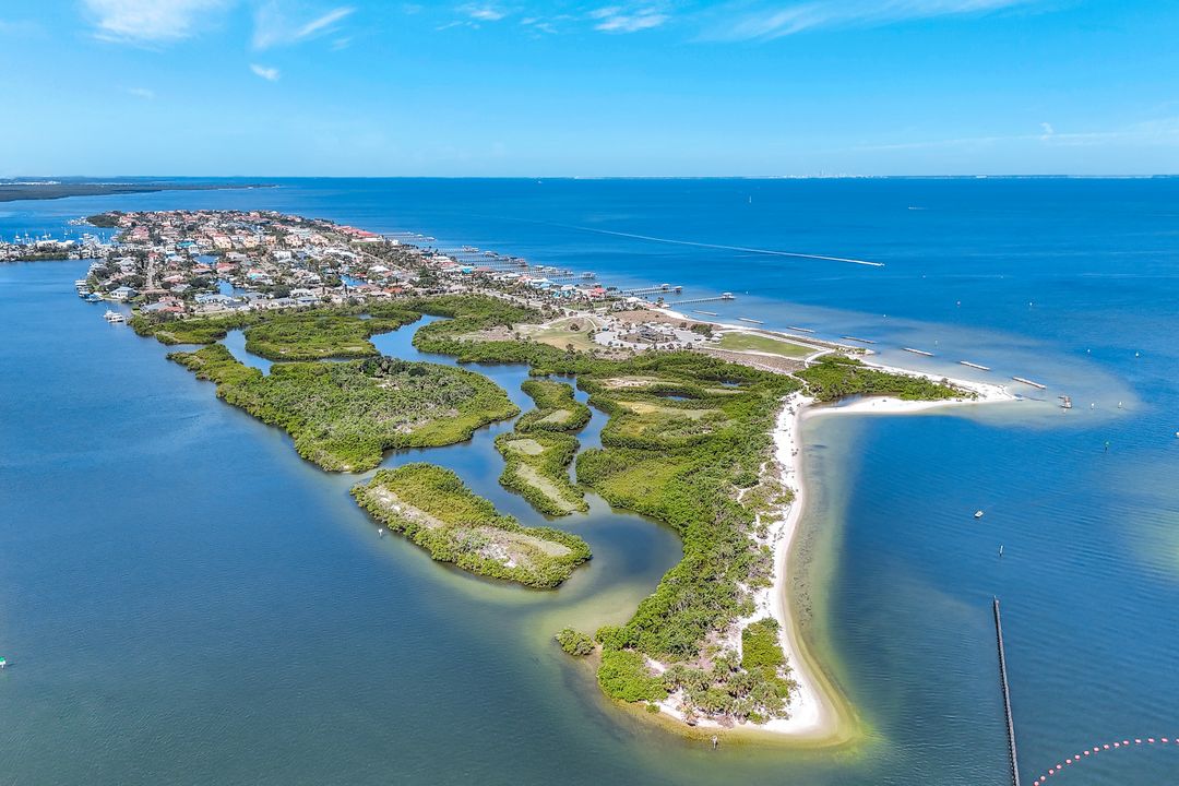 6219 Golden Nettle Dr, Apollo Beach, FL 33572