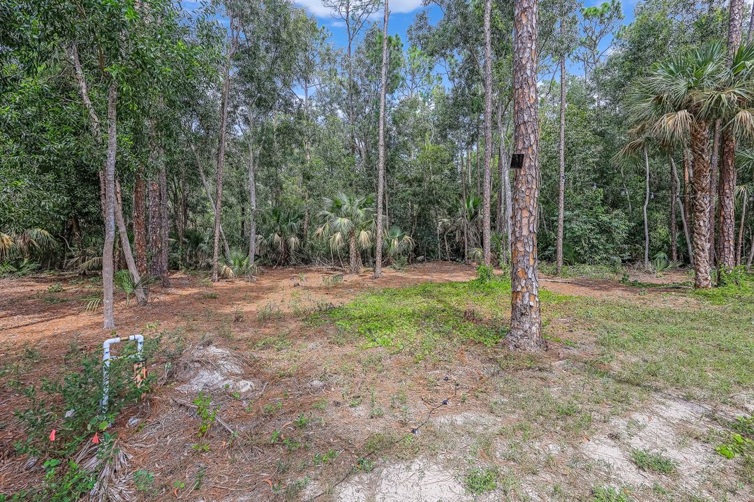 6641 Golden Gate Pkwy, Naples, FL 34105