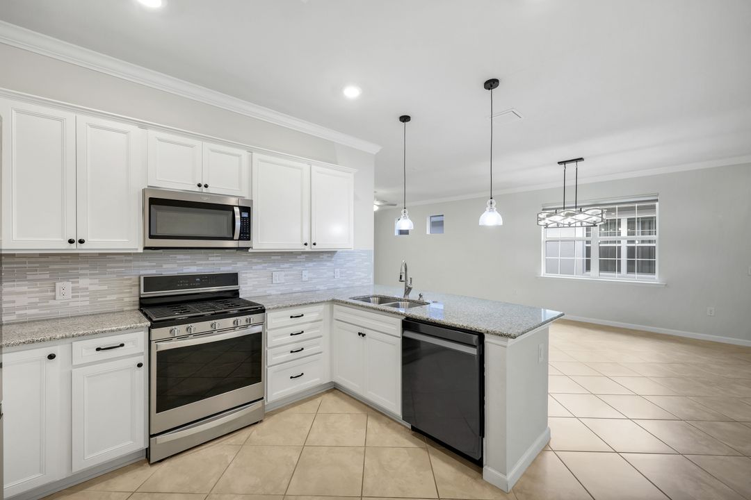 20005 Parrot Key Ct, Estero, FL 33928