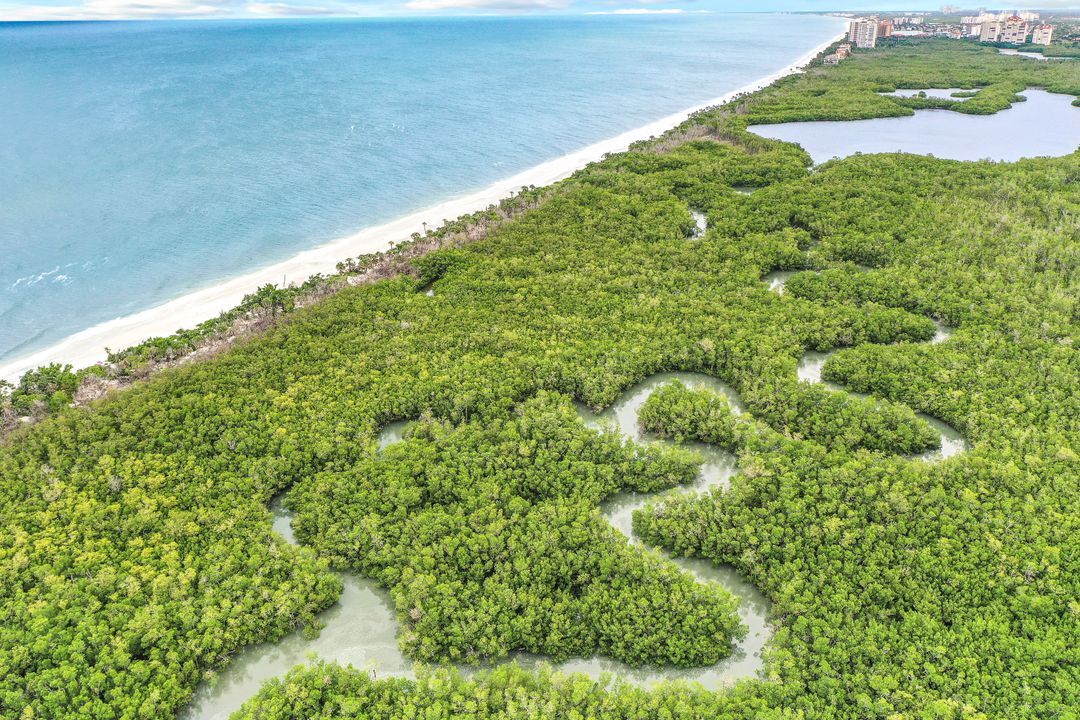 703 Heathery Ln, Naples, FL 34108