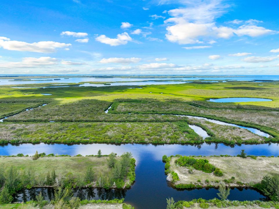 229 NW 39th Ave, Cape Coral, FL 33993