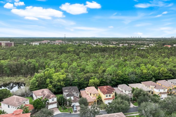 10253 S Silver Palm Dr